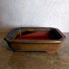 Small Bonsai Pot #8