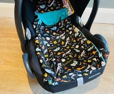 Car seat blanket