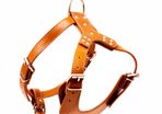 Leather Dog Harness