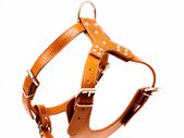 Leather Dog Harness