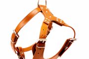 Leather Dog Harness