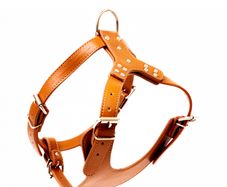 Leather Dog Harness