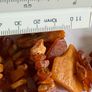 Amber necklace Image 7