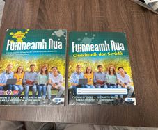 Fuinneamh Nua book and workbook. Leaving Cert Irish books
