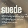 Suede - Dog Man Star. 20th Anniversary Live at the Royal Albert Hall. Image 3