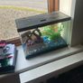 fish tank Image 5