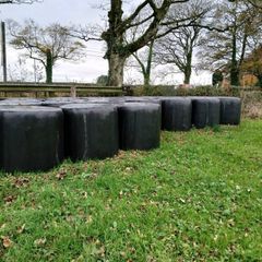Baled silage for sale.