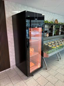 Dry Aging Season C700 Fridge Brand new plug in