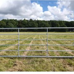 10' Galvanised Gate