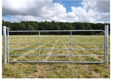 10' Galvanised Gate