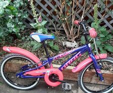 Kids bike