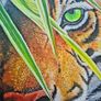 Hidden in the leaves | FineArt Print | Framed Image 4