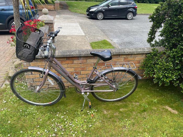 ladies raleigh bike