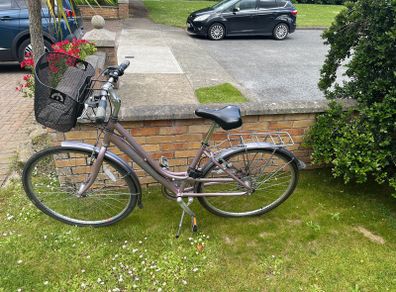 ladies raleigh bike