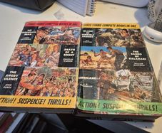 1960s adventure story books
