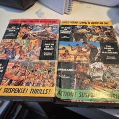 1960s adventure story books