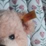 steiff teddy Image 3