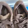 Adidas Campus Trainers Size 38.5 Image 2