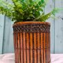 Rattan Planter Image 5