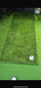grass