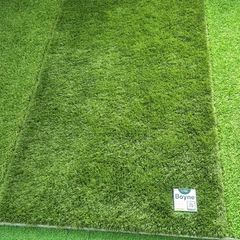 grass