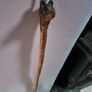 Bear head walking cane Image 3