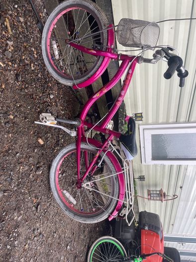 Beautiful 20 inc girls bike
