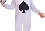 alice in wonderland rabbit costume 7yrs old