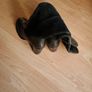 Brand new Hobbs genuine leather black boots Image 3