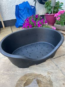 dog bed