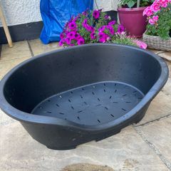 dog bed