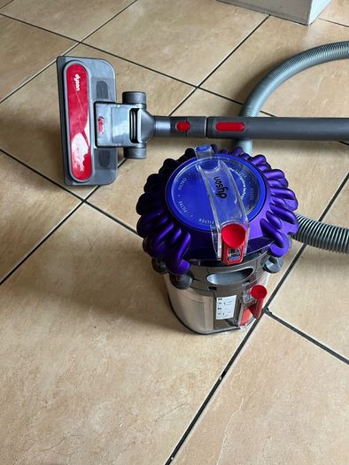 Dyson Big ball Animal