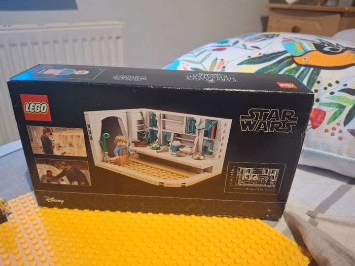 Lego star wars minifigures: Owen and Beru Lars