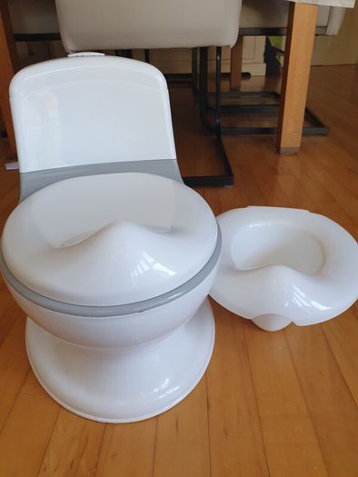 Toilet potty