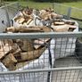 Ash Firewood Image 4