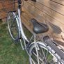 Mens / Ladys / Boys bikes Image 7