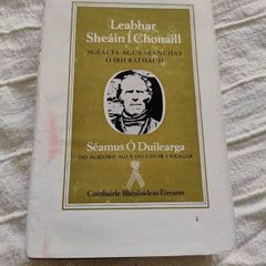 Leabhar Sheain i Chonaill le Seamus O Duilearga 1977 hardback with dustcover in good condition with some signs of wear on the dustcover see photos FREE STANDARD POSTAGE INCLUDED