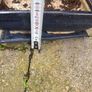 bonsai pot Image 5