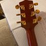 Timberline acoustic guitar 4/4 size. Image 4