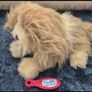 Furreal friends my list little puppy working toy Image 2