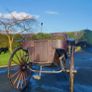 Horse Carriage Image 8