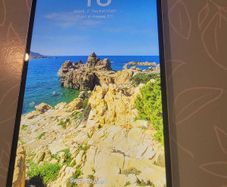 Samsung Galaxy A06  Model SM-A065F/DS