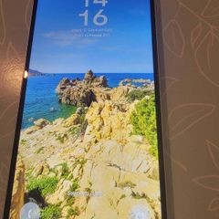 Samsung Galaxy A06  Model SM-A065F/DS