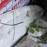 Free fiberglass board Image 3