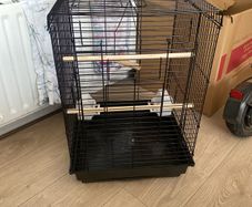 bird cage