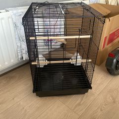 bird cage
