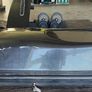 car roof box Image 4