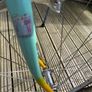 Bianchi Pantani Image 6