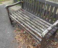 Bench