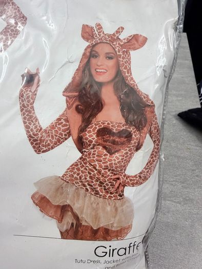 costume lady